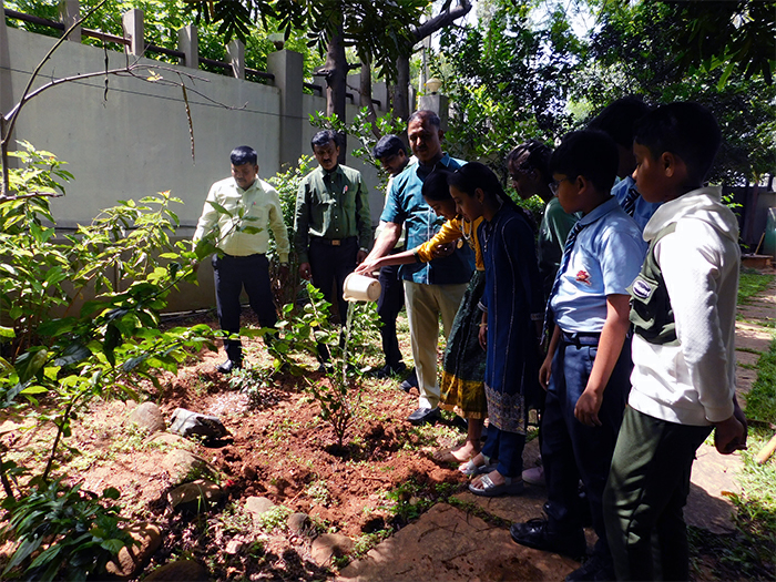 World Environment Day 2025